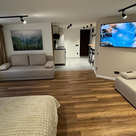 Gray Apartment 24H - Parking On The Street Катовице Екстериор снимка