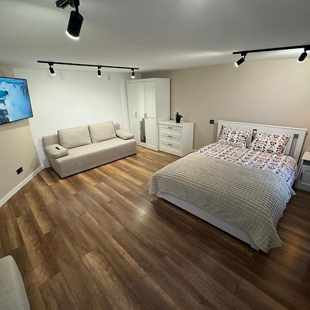 Gray Apartment 24H - Parking On The Street Катовице Екстериор снимка