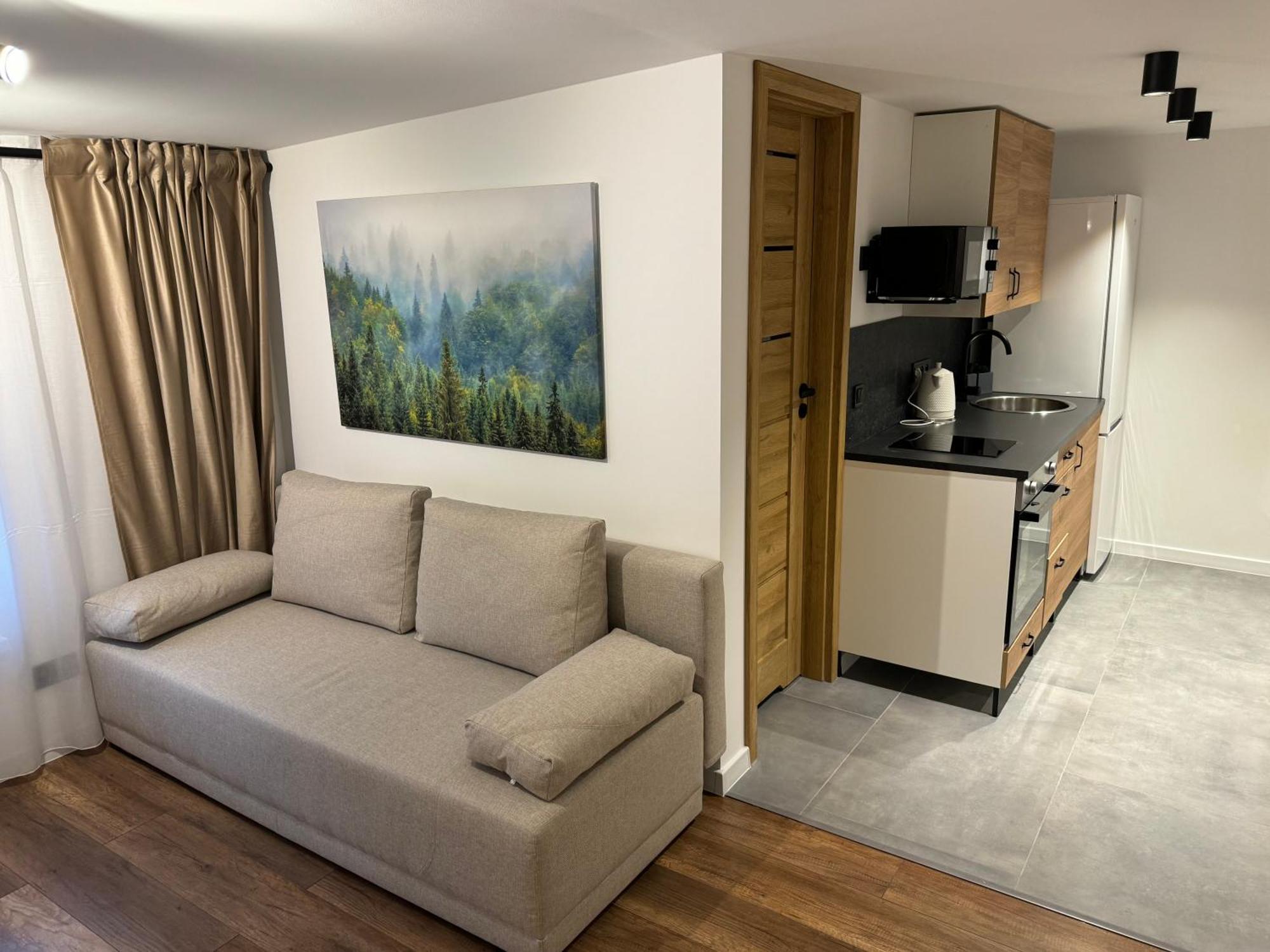 Gray Apartment 24H - Parking On The Street Катовице Екстериор снимка